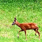 Dimora Grotta Azzurra Maison d'hôtes 3*
